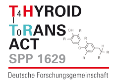 THYROID TRANSACT SPP1629